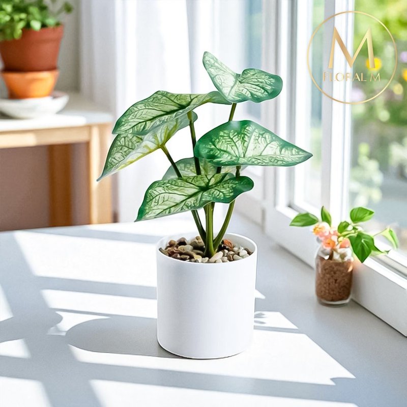 室內桌上型白天使海芋仿真綠植 - 擺飾/家飾品 - 塑膠 綠色