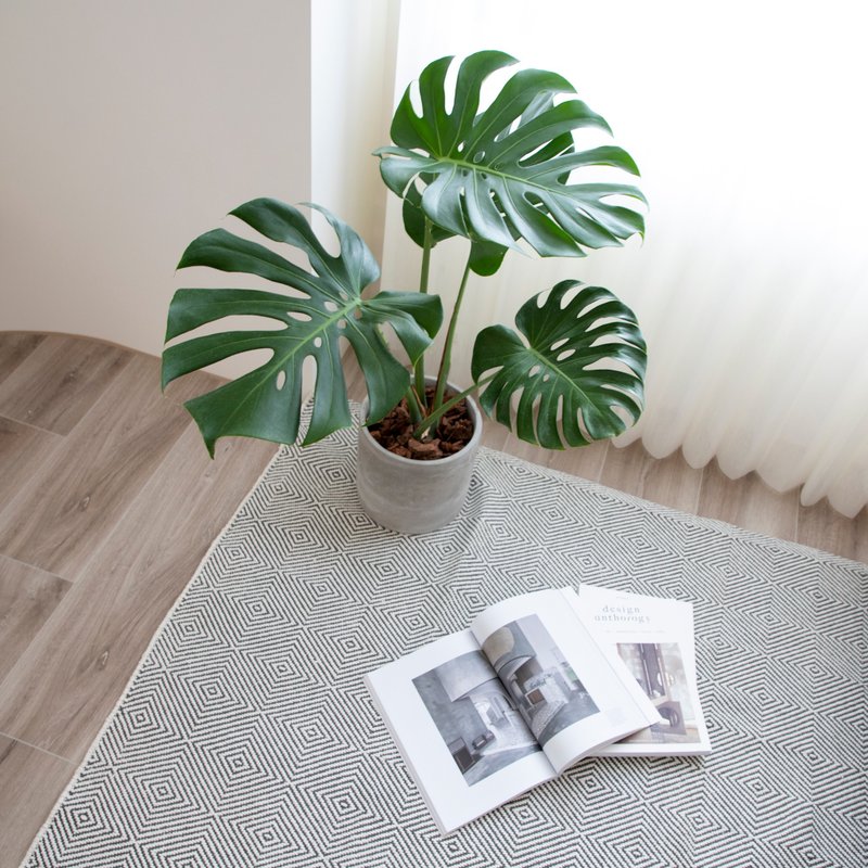 【室內盆栽】龜背芋 中 開幕盆栽 盆栽 升遷 喬遷 發財樹 - 盆栽/植栽 - 植物．花 綠色