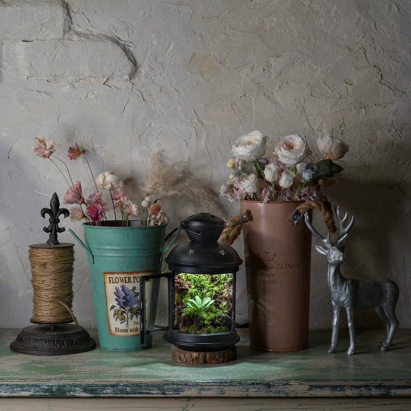 微宇宙苔蘚生態瓶 | 含植物燈 禮物 室內植栽 - 植物/盆栽/盆景 - 植物．花 