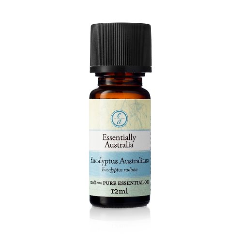 澳蘊-最專業的澳洲精油品牌 【防疫精油】澳洲尤加利精油 Eucalyptus Australiana