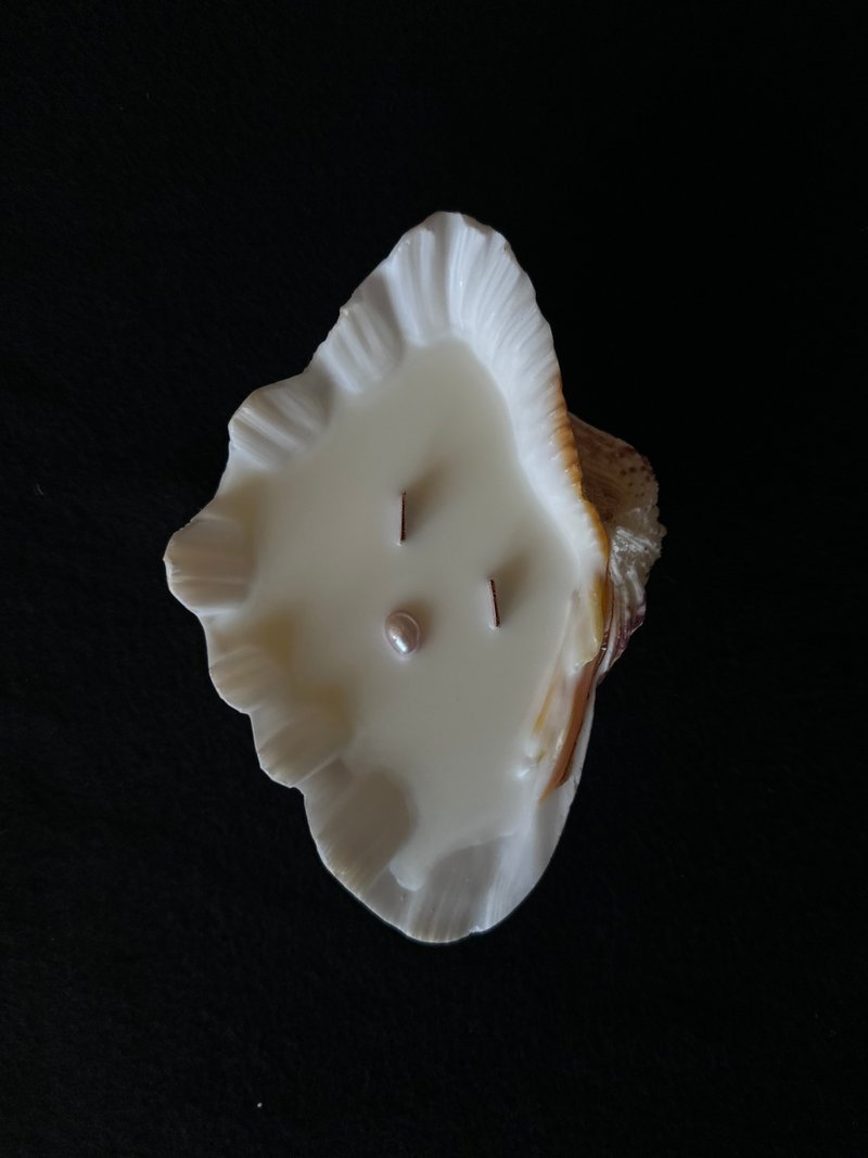 About Xiaosan’s San Diego shell candle-18 - Candles & Candle Holders - Shell White