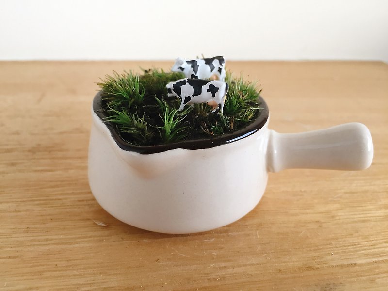 Animal dairy cows on a pure natural grassland giving a dwarf white porcelain potted moss plant micro landscape animal micro landscape - Plants - Plants & Flowers White
