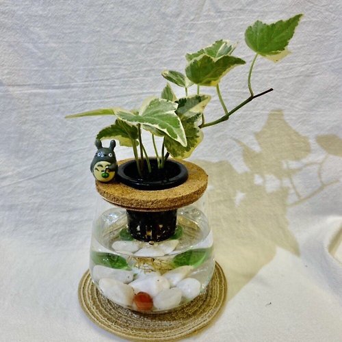 蕨美植栽 蕨美植栽 室內辦公室水耕植栽-常春藤+弧形玻璃瓶