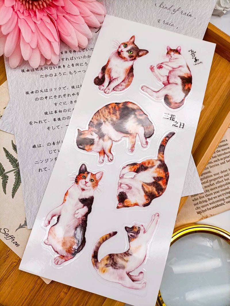 5K059_五口美 _三花之日 _ Calico Cat C/轉印貼紙 - 貼紙 - 其他材質 多色