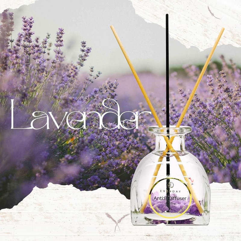 【Korea EVENDAY】Anti:B Healing Aromatherapy Essential Oil Diffuser Set - Romantic Lavender - Fragrances - Glass Purple