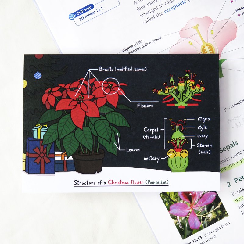 Gas Exchange in Christmas Trees/Biology Christmas Card - การ์ด/โปสการ์ด - กระดาษ 