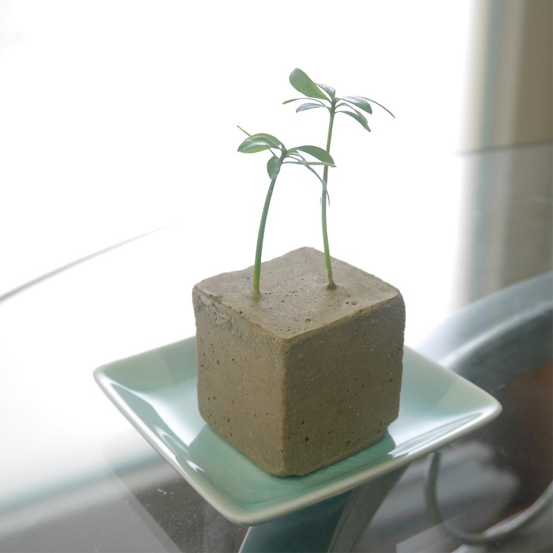 "Green potted plants" modeling cultivation block (including 2 plants) - ตกแต่งต้นไม้ - พืช/ดอกไม้ สีเขียว