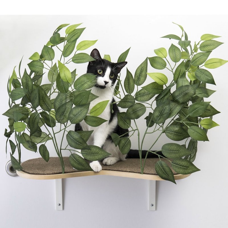 美國On2Pets 栩栩如生貓樹跳台-壁掛型(白色) 一組有兩座 - 貓/狗玩具 - 木頭 綠色