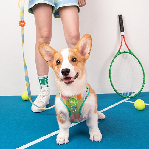 doggu pets ALWAYS HARNESS SET with leash - ALWAYS SPORTY (GREEN)