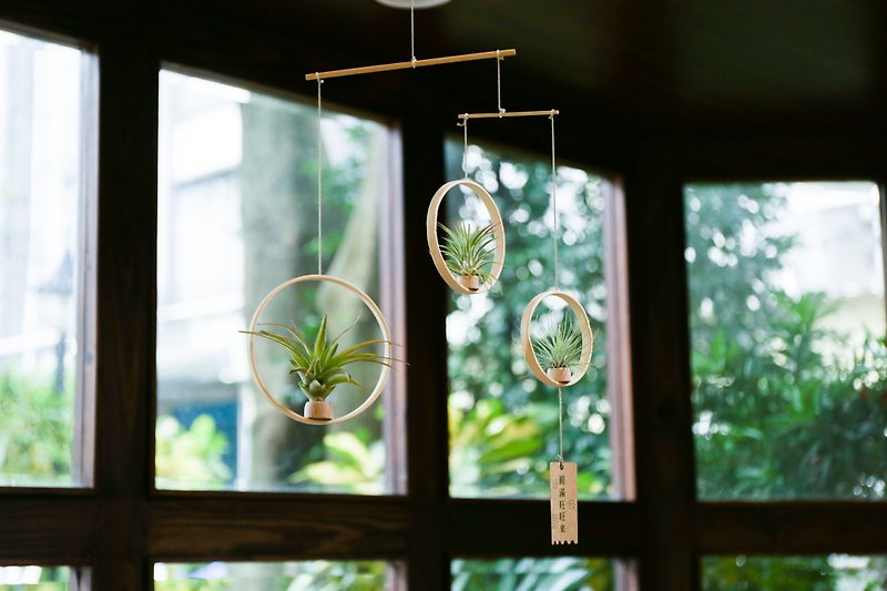 [Balance Pendant-Air Pineapple] Three Rings and Six Rings Pendant | Shi Guang - Plants - Plants & Flowers 