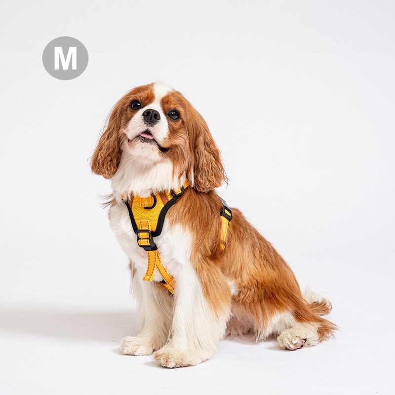 Pawfect-Fit! Pet Harness 機能寵物胸背帶2.0(M) - 項圈/牽繩 - 聚酯纖維 