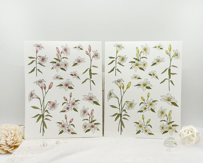 Lily deco sticker - 貼紙 - 其他材質 