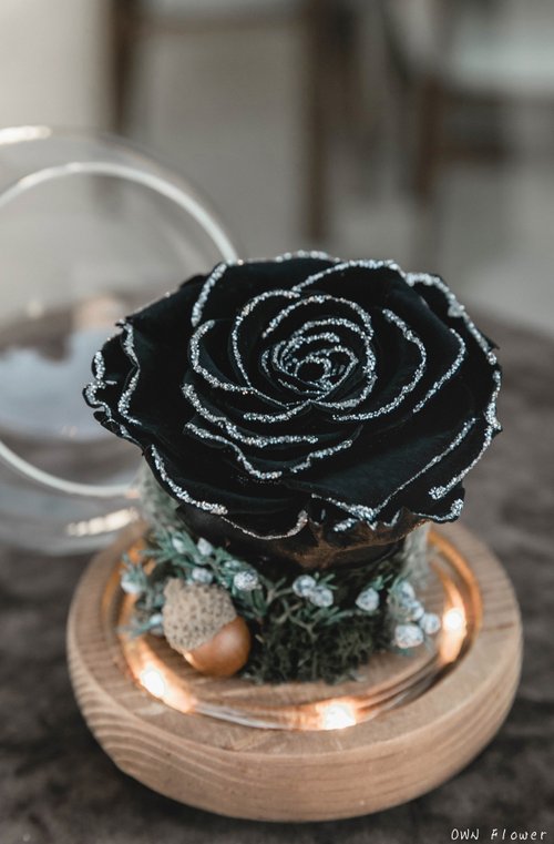 OWN Flower花藝設計 永生花夜燈/永生花玻璃盅/生日禮物/交換禮物/永生玫瑰燈/不凋花