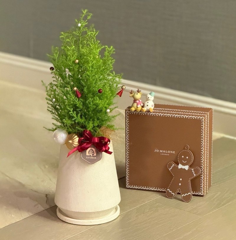 Christmas Limited | Christmas Tree/Crystal Cypress/Table Decoration/Exchange Gifts - Plants - Plants & Flowers 