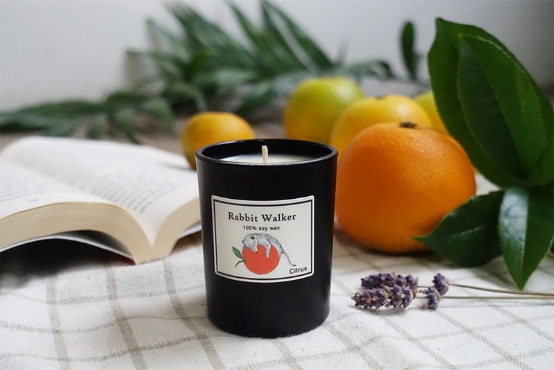 Citrus Fox Mongolia-scented candle 65g - เทียน/เชิงเทียน - ขี้ผึ้ง สีส้ม