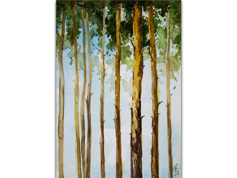 Pine Tree Painting Forest Original Art Watercolor Original Hand-Painted Art - โปสเตอร์ - กระดาษ สีเขียว