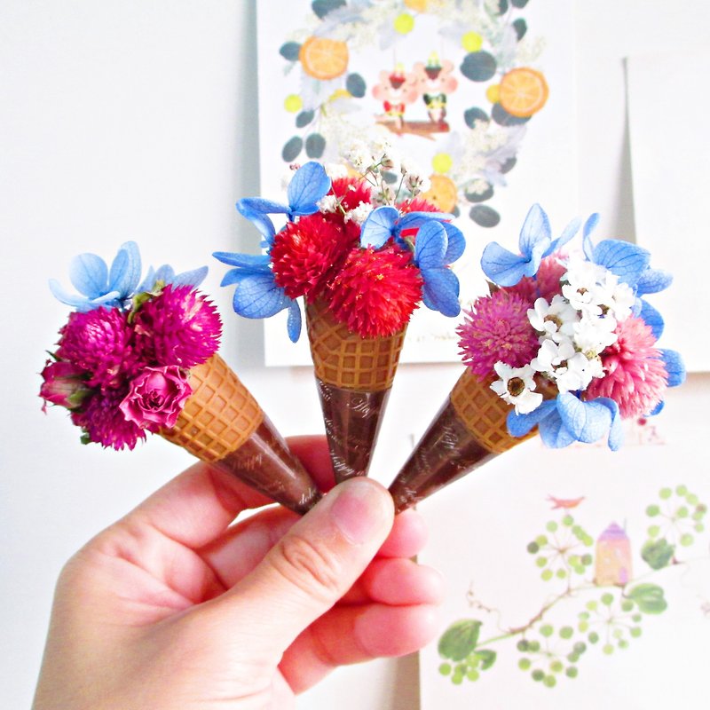 【迷你乾燥花冰淇淋】(每一束以透明Opp袋包裝) 乾燥花 冰淇淋 - 植物/盆栽/盆景 - 植物．花 