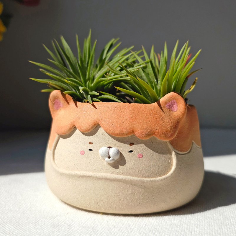 Orange kitty plant pot. Handmade planter with drainage hole. - 植栽/盆栽 - 陶 