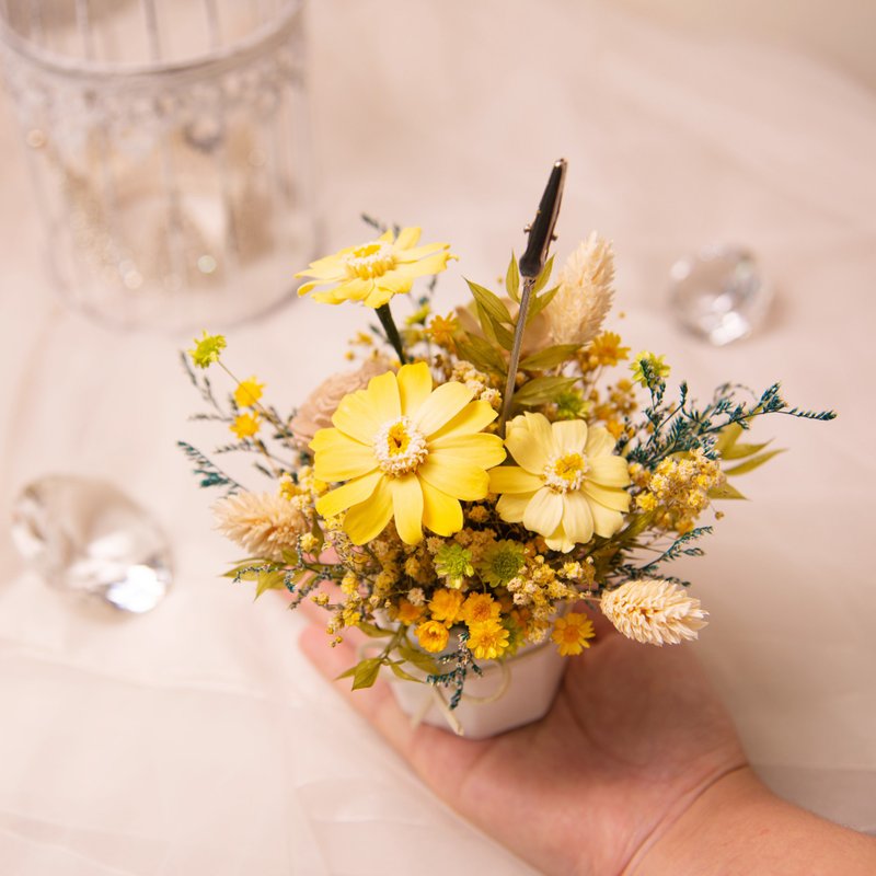 [Nuan Nuan] Preserved flowers dried flowers diffused in small pots of flowers / 5 types in total / opening of new home office - Dried Flowers & Bouquets - Plants & Flowers Yellow