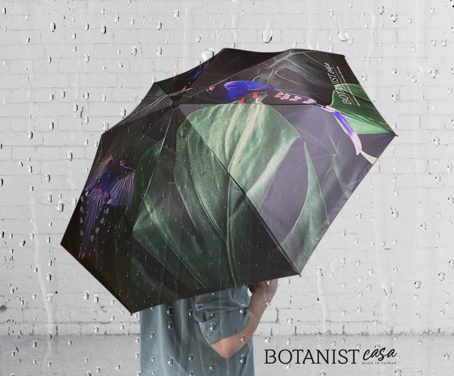 BOTANIST雨または雨自動折りたたみ傘台湾ブルーマグパイ - ショップ botanistcasa 傘・雨具 - Pinkoi