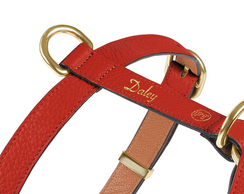 Furri Tail Handcraft Engraved Leather Dog Harness - Red - ปลอกคอ - หนังแท้ สีแดง