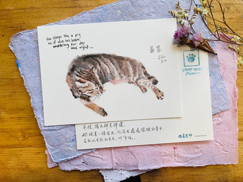 Postcard of Napping Cat - การ์ด/โปสการ์ด - กระดาษ 