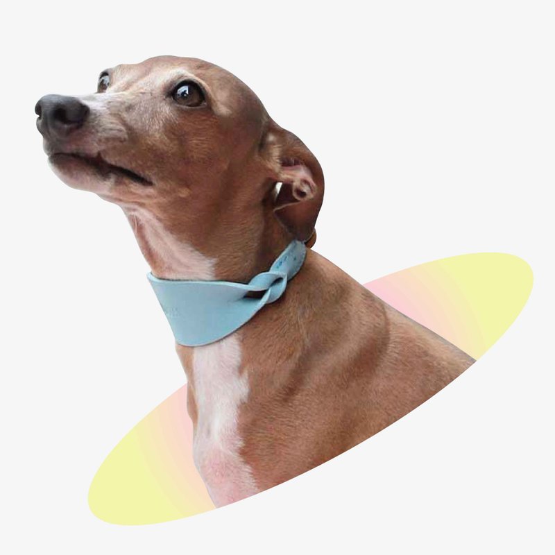 Twist Mono Soft leather wide dog collar with custom name | Personalized collar - 項圈/牽繩 - 真皮 藍色