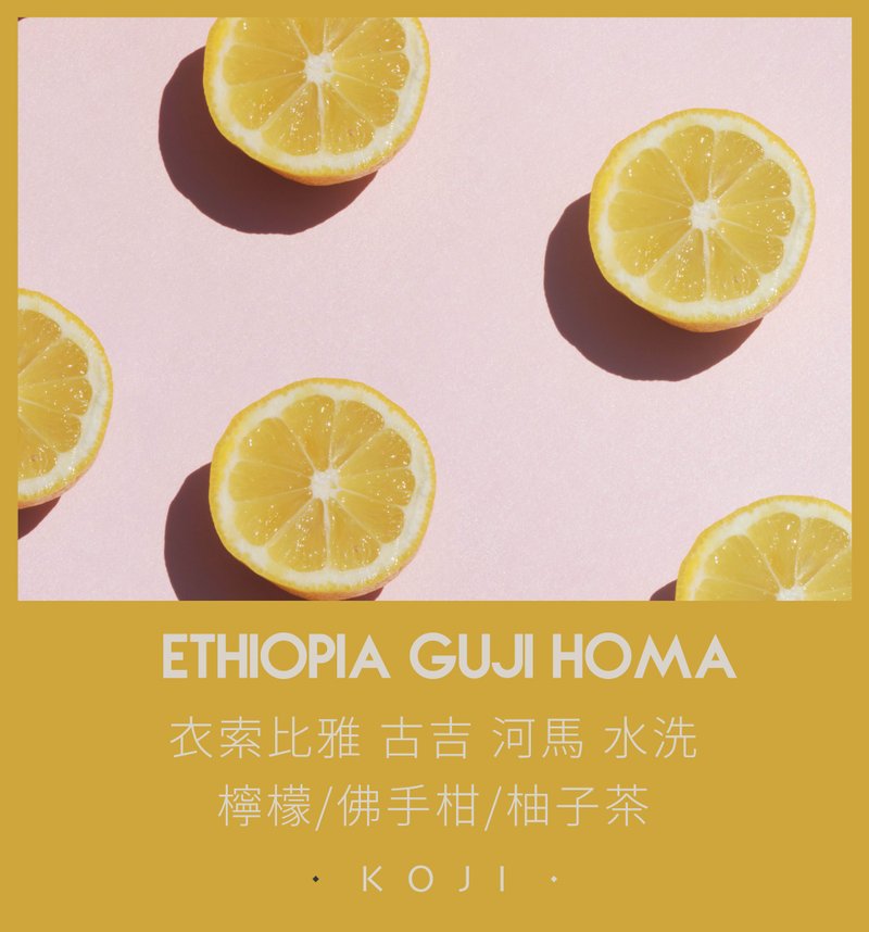 衣索比亞 淺烘焙 古吉 河馬 水洗 咖啡豆 掛耳包 - 咖啡/咖啡豆 - 新鮮食材 白色