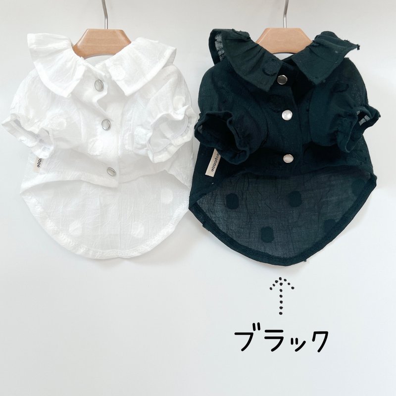 Dog Wear・Sheer dot blouse - Black - Clothing & Accessories - Cotton & Hemp Black