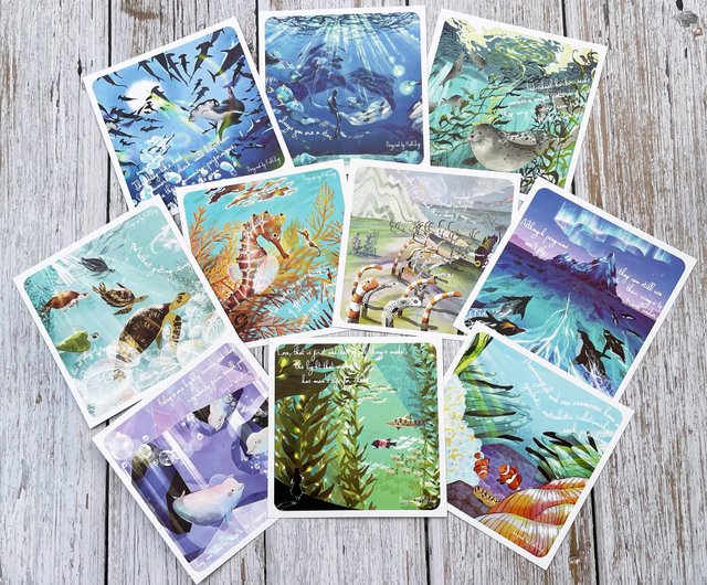 SHARK DECK PLAYING CARDS 6個+専用箱セット（Card Shark