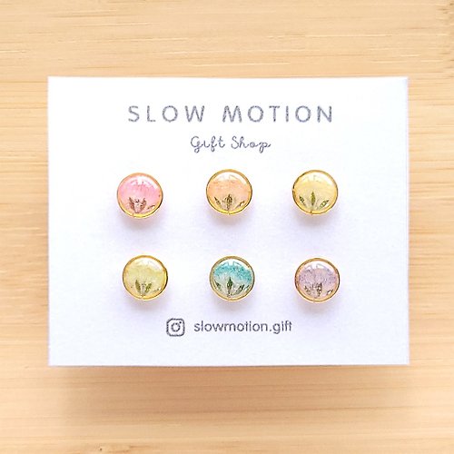 Slow Motion Gift Shop 彩虹滿天星乾燥花小耳環套裝 一套六隻 樹脂耳針