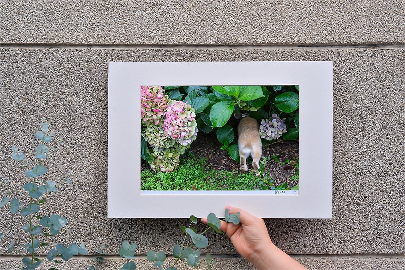 Original limited edition rabbit photography art-Explore - ของวางตกแต่ง - กระดาษ สีเขียว