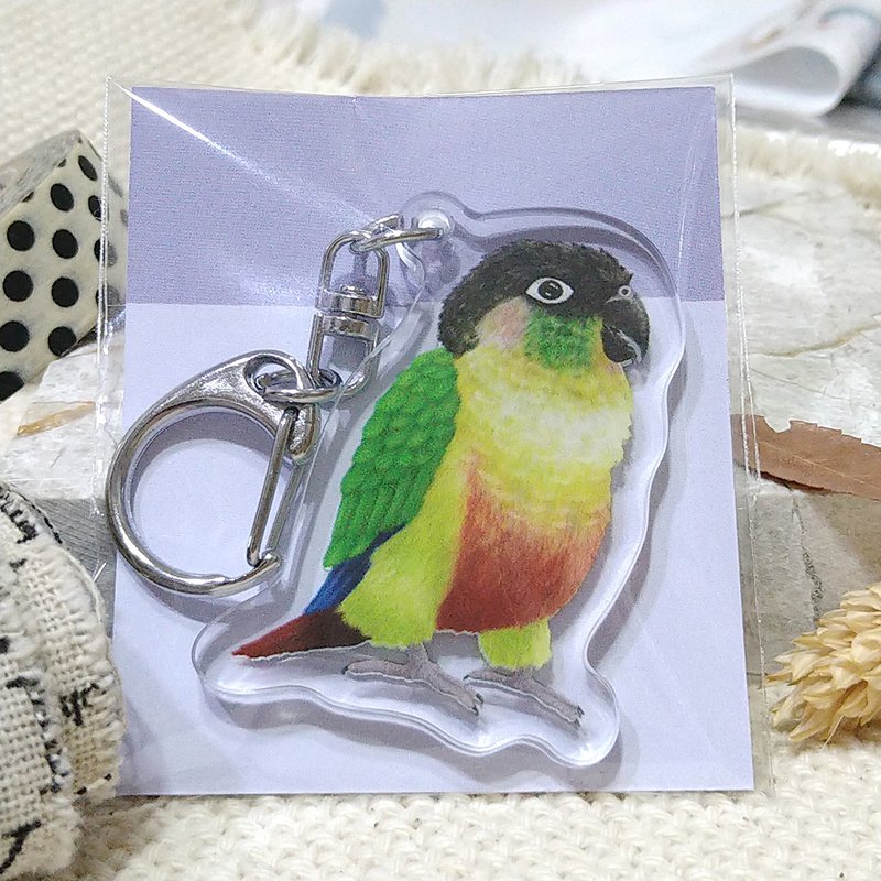 Little Acrylic Pendant (Keychain)-Double-Sided Pattern-New Manufacturer_Parrot - Keychains - Acrylic 