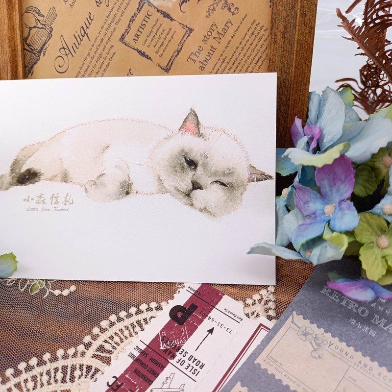 LS158_Cat Postcard_19/Postcard - การ์ด/โปสการ์ด - กระดาษ หลากหลายสี