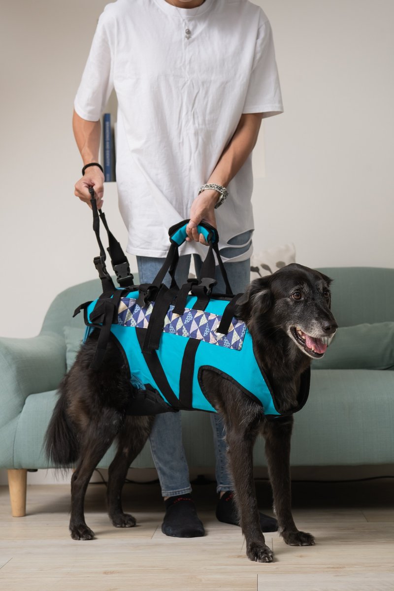 Pet auxiliary clothing for paralysis, size M auxiliary belt for senior dogs, assistive device for walking upstairs - Other - Other Man-Made Fibers 