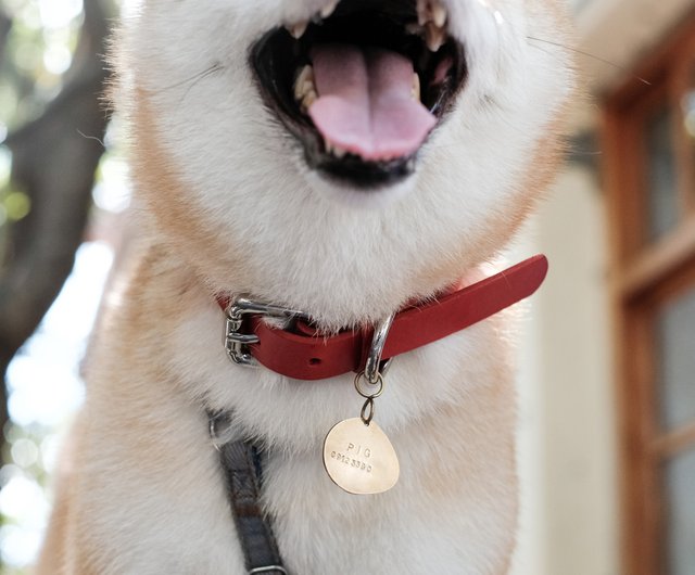 首輪 犬 セール 英語