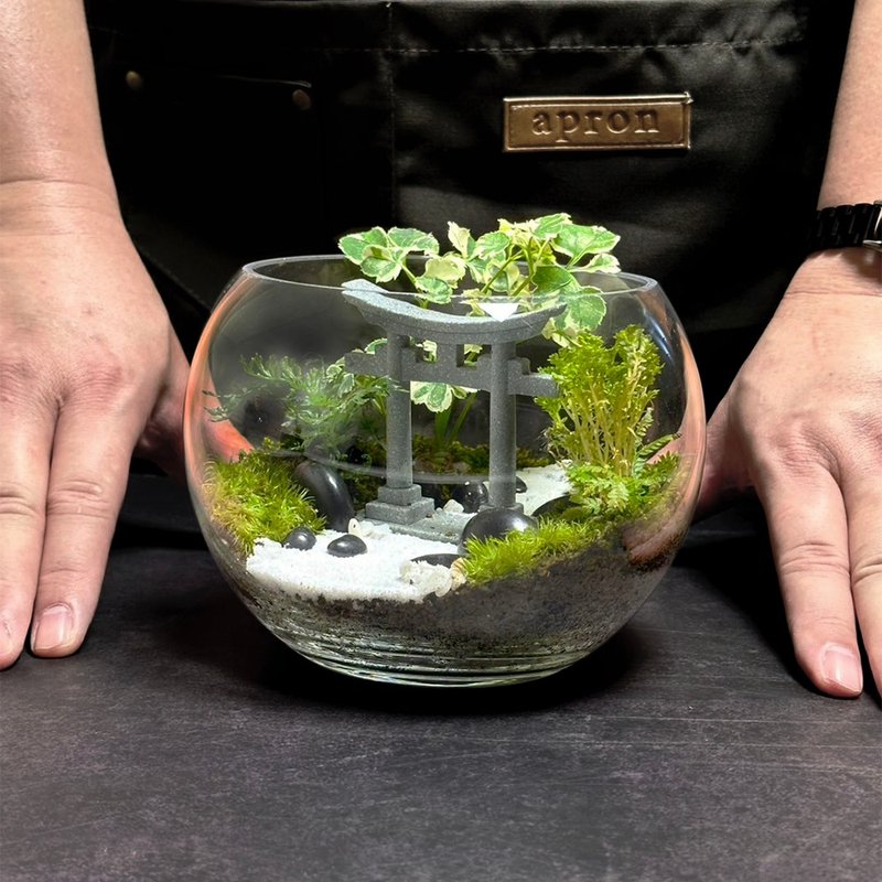 侘寂之徑 / 手工客製化微景觀生態盆 - 盆栽/植栽 - 植物．花 