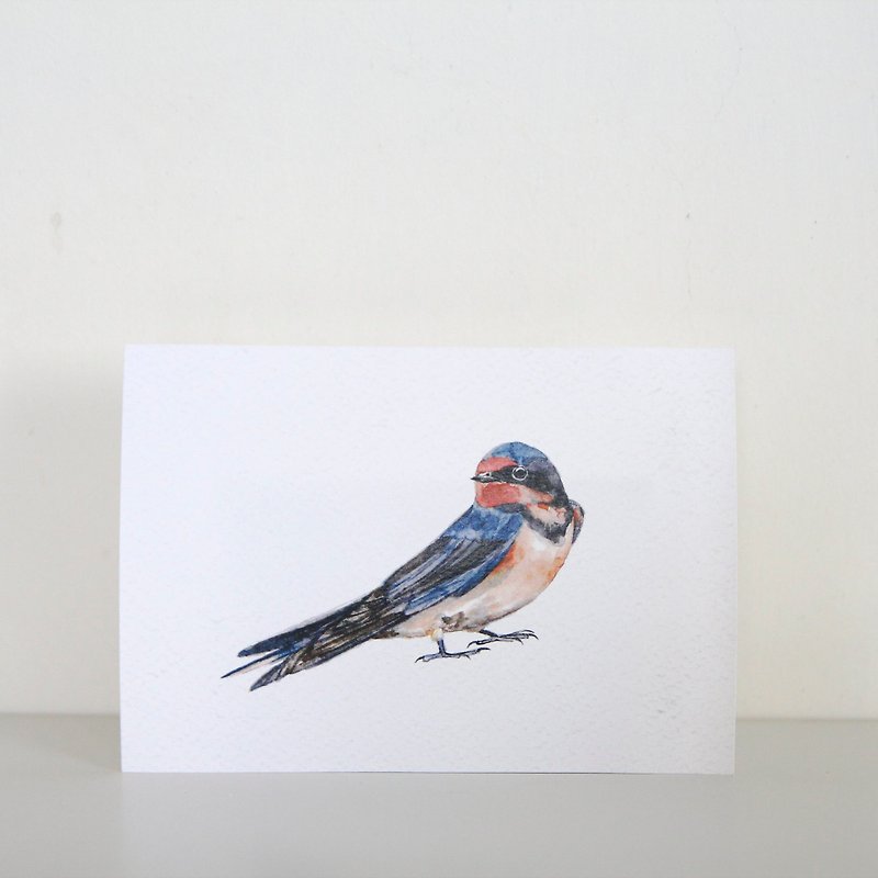 Bird Postcard W 0003 - Cards & Postcards - Paper 