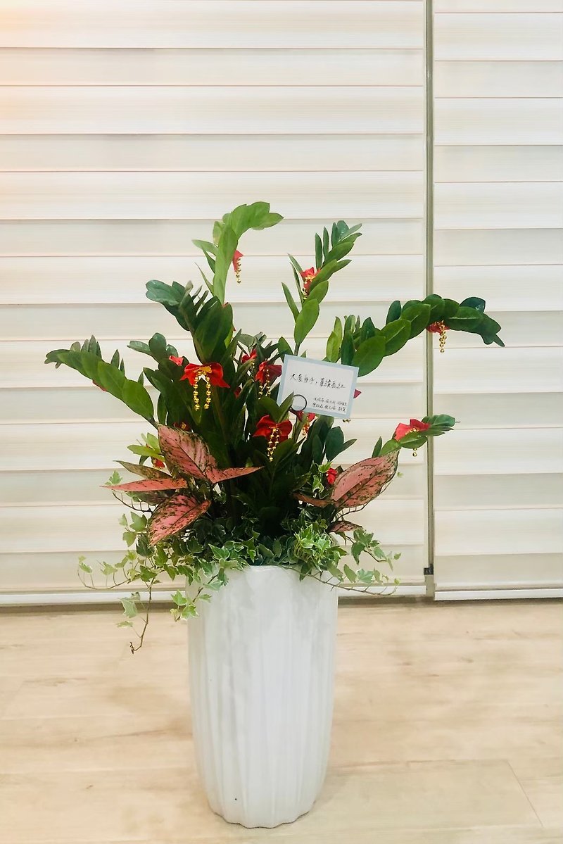 [Planting Risheng] Foliage Combination Potted Plants / Gift Baskets / Celebrating Opening Ceremony Potted Plants - Plants - Plants & Flowers Multicolor
