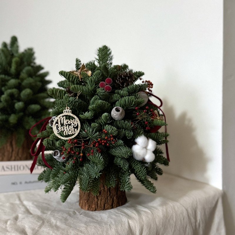 新鮮諾貝松自然風格聖誕樹 聖誕樹 聖誕禮物 可乾燥 交換禮物 - 乾燥花/永生花 - 植物．花 
