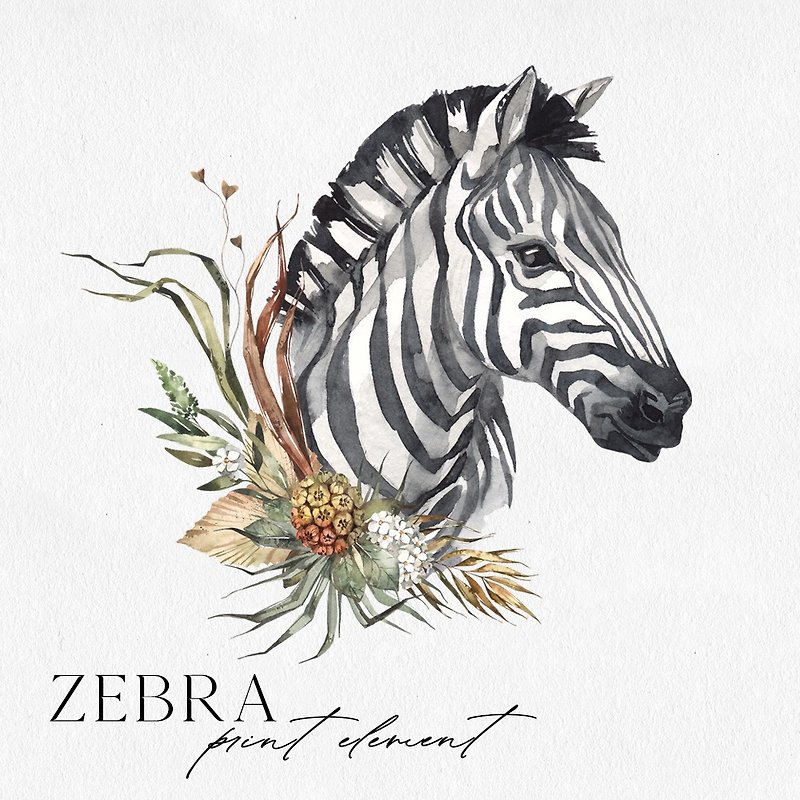 Watercolor African Zebra Portrait. Digital animals illustration. PNG Clipart - 電子似顏繪/繪畫/插畫 - 其他材質 