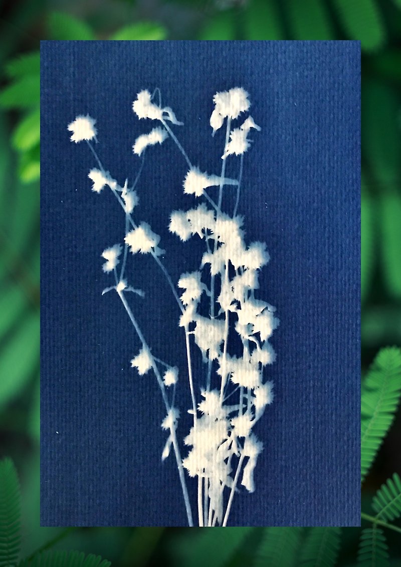 Handmade Cyanotype Cards - Cards & Postcards - Paper 