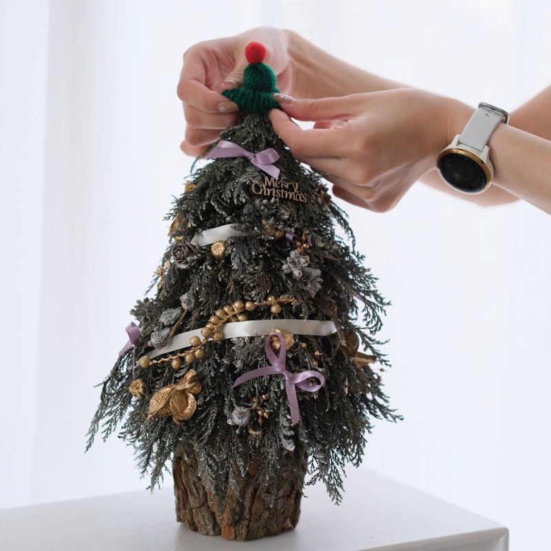 Christmas handicrafts | Winter Prelude - Everlasting Christmas Tree | Everlasting Christmas Tree - Plants & Floral Arrangement - Plants & Flowers 