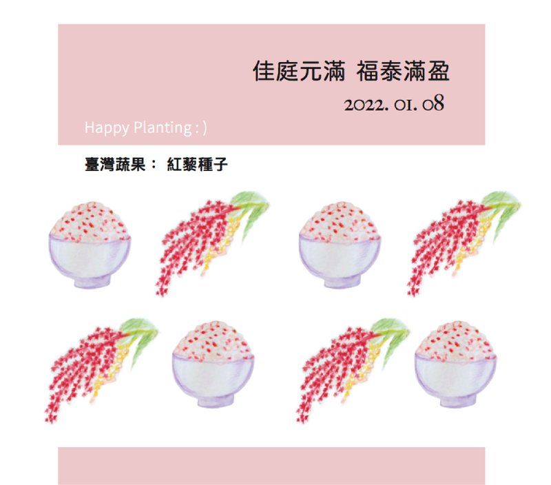 Plant Happiness 種子婚禮小物/紅藜/2g標準版/客製英文名 - 植栽/盆栽 - 其他材質 粉紅色