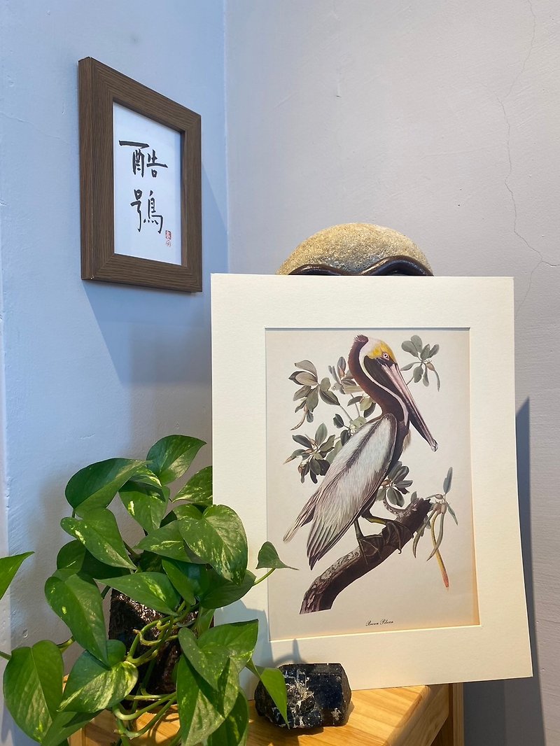 アメリカの鳥類学者ロジャー・トリー・ピーターソンの鳥図鑑版画 - ポスター・絵 - 紙 