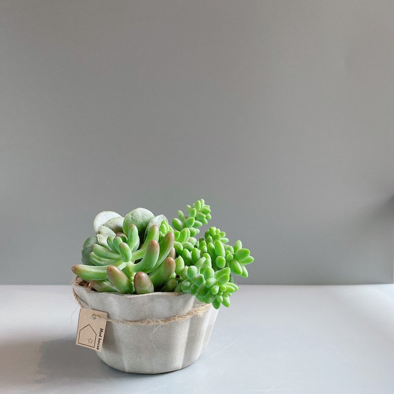 【Mud の Pudding Pot- Cement Pot】Pudding cement pot - Plants - Cement Gray