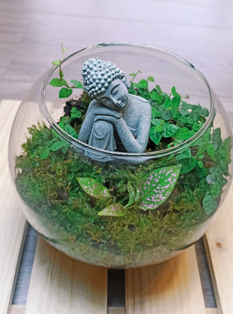 [Moss Healing] Buddha Statue Zen-Ecological Bottle DIY Material Pack - จัดดอกไม้/ต้นไม้ - แก้ว สีใส