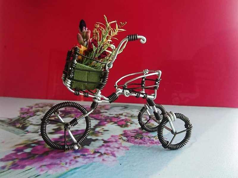 鋁線腳踏車-兒童三輪車C款/不含乾燥花/附PVC包裝盒 - 公仔模型 - 鋁合金 