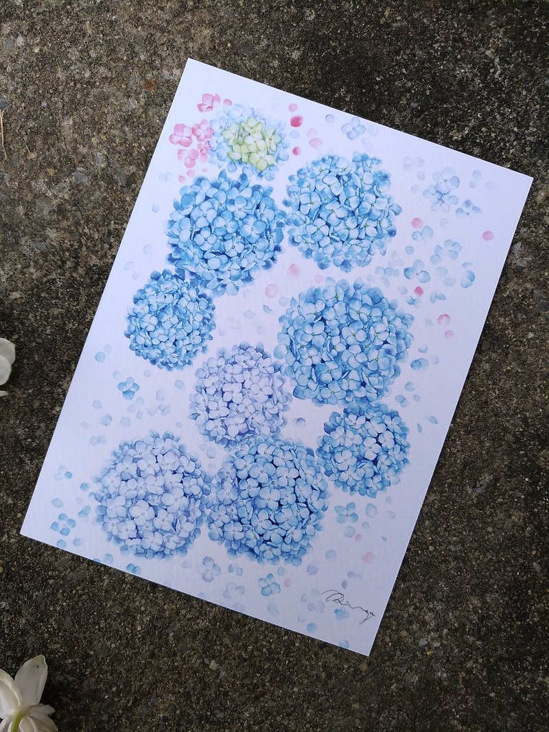 Blue and Purple Hydrangea Watercolor botanical illustratio Postcard Card (Print) - การ์ด/โปสการ์ด - กระดาษ หลากหลายสี