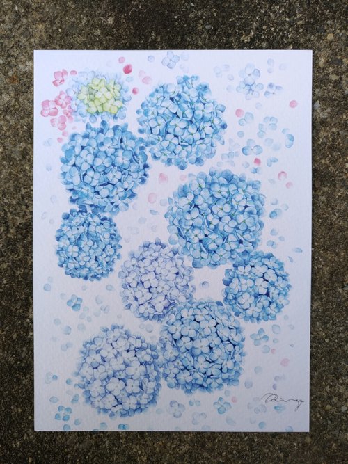 RINGO 境悄悄 藍紫色繡球花 水彩花草插畫明信片 卡片 印刷品